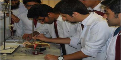 Department of Pharmacology & Therapeutics