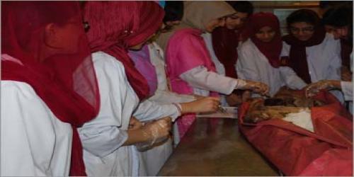 Department of Anatomy